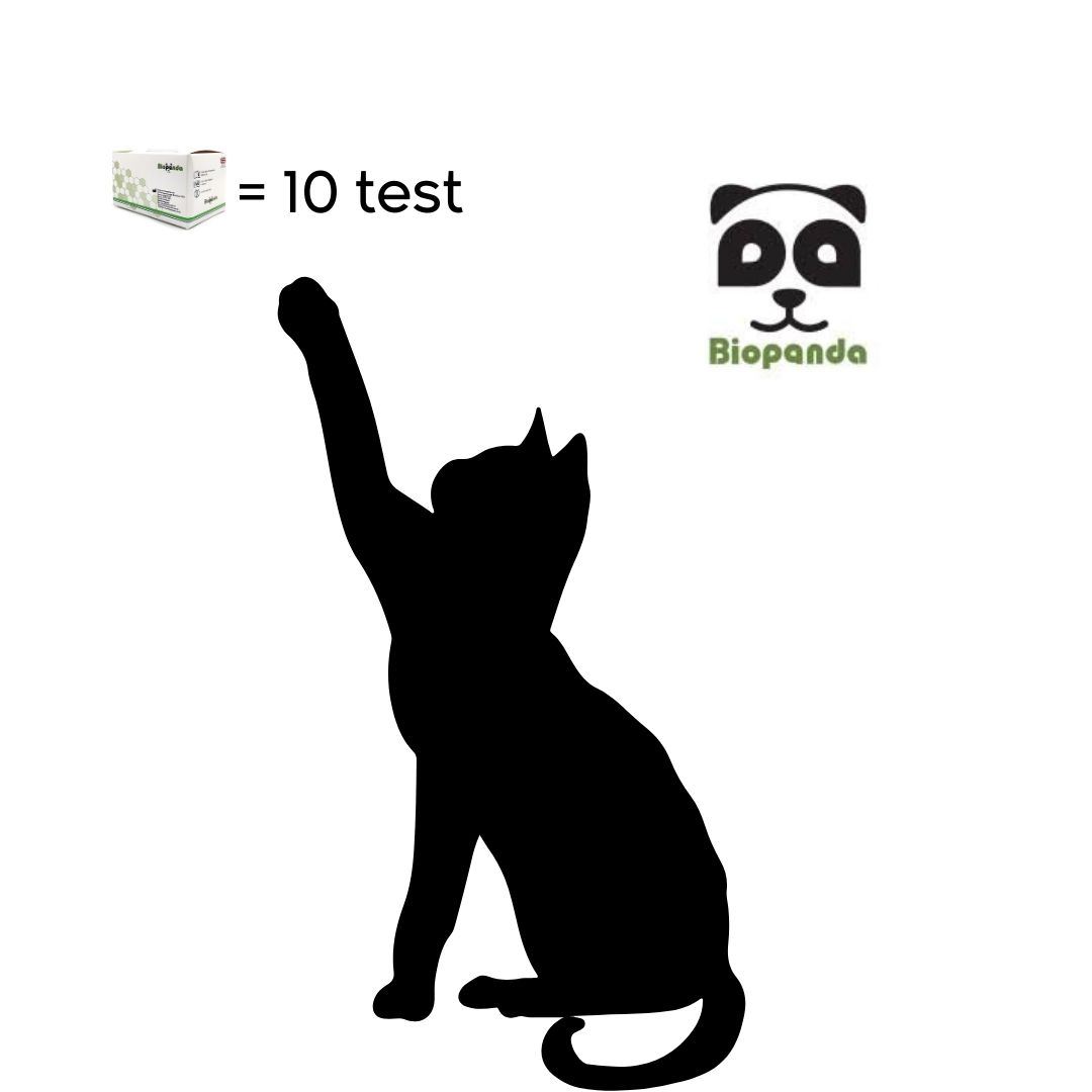 CALICIVIRUS 	(FCV Ag)